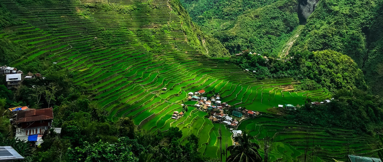Indigenous residential houses on the foot of a rice terraces
